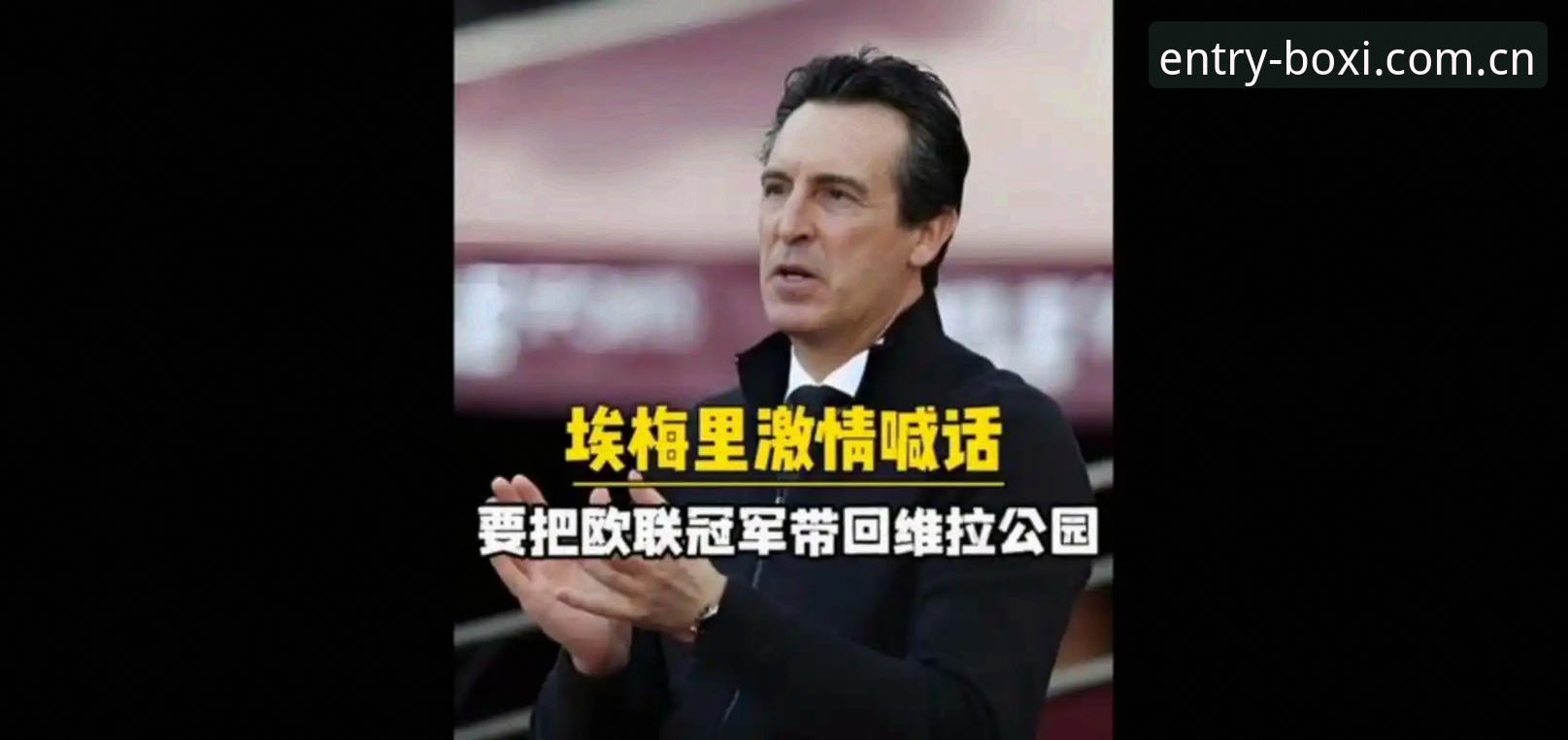 阿斯顿维拉欧联杯夺冠完整指南：从数据分析看埃梅里如何终结30年冠军荒